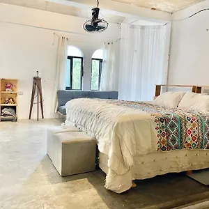  Pensión Casa Iguana México